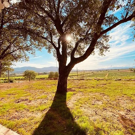 When In Maremma